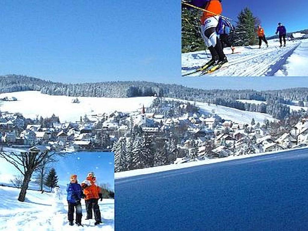 Appartmentvermietung Terrassenpark Schonach Schonach im Schwarzwald 외부 사진