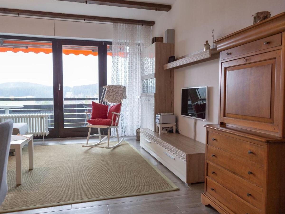 Appartmentvermietung Terrassenpark Schonach Schonach im Schwarzwald 외부 사진